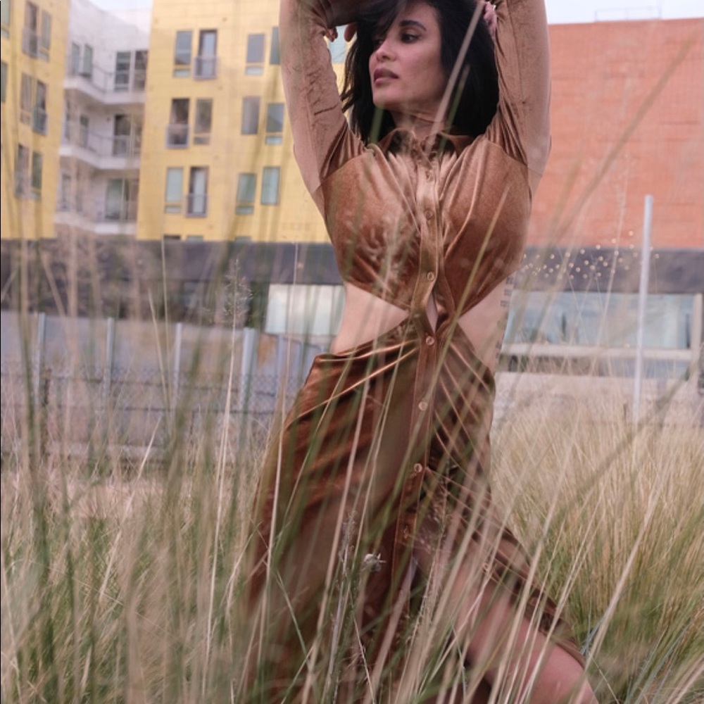 Shein gorgeous velvety dress